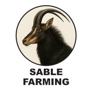Sable Farming Company Limited 